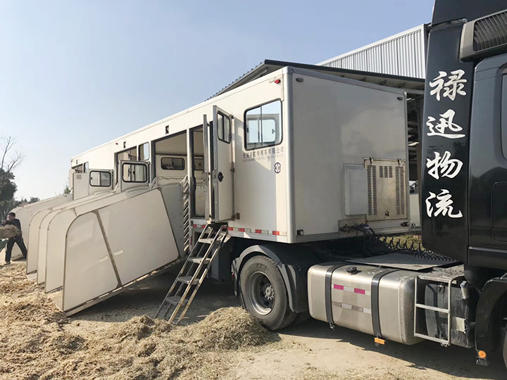 圓林夢(mèng)核舞馬